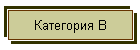 Категория В